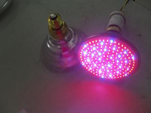 LED PAR38植物生長(zhǎng)燈泡 孝感捷能特種光源的創(chuàng)新實(shí)踐